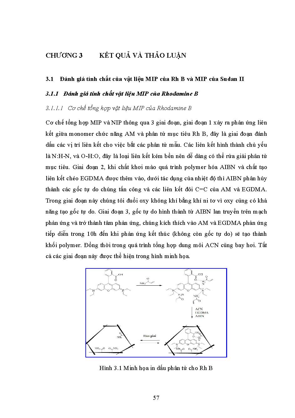 Tổng hợp vật liệu MIP chọn lọc cho Rhodamine B và Sudan II, ứng dụng phân tích mẫu thực phẩm: Luận văn Thạc sĩ - Chuyên ngành: Hóa phân tích