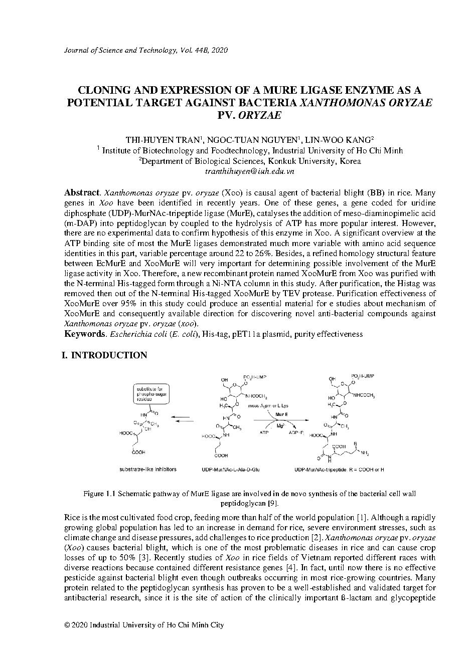 Cloning and expression of a mure ligase enzyme as a potential target against bacteria xanthomonas oryzae pv. oryzae