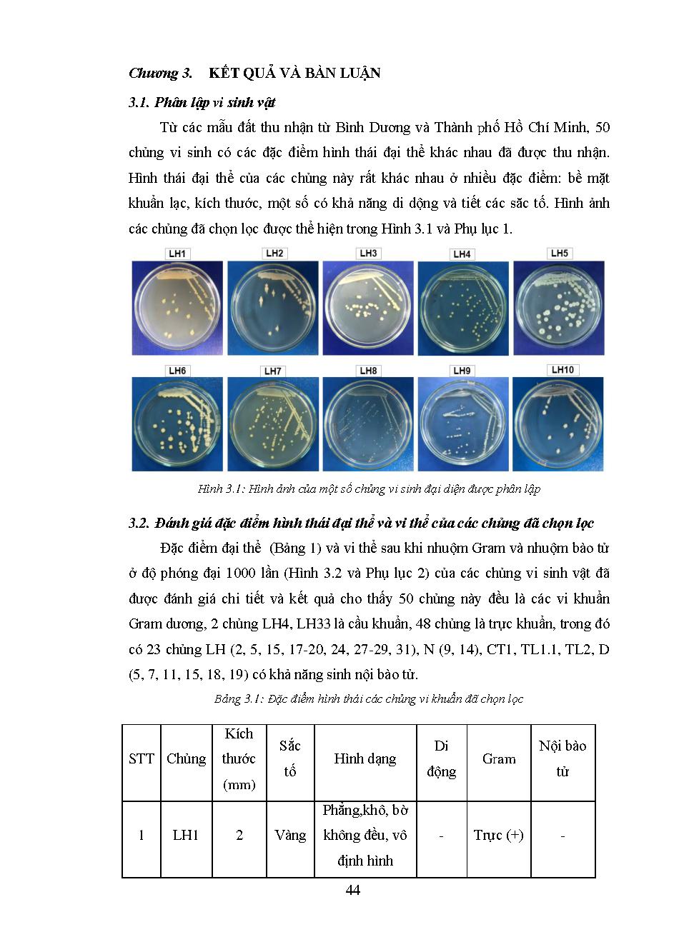 Tuyển chọn các chủng vi khuẩn có khả năng kháng nấm mốc Fusarium sp. trên thực vật: Báo cáo tổng kết đề tài nghiên cứu khoa học cấp Trường - Viện Công nghệ Sinh học và Thực phẩm