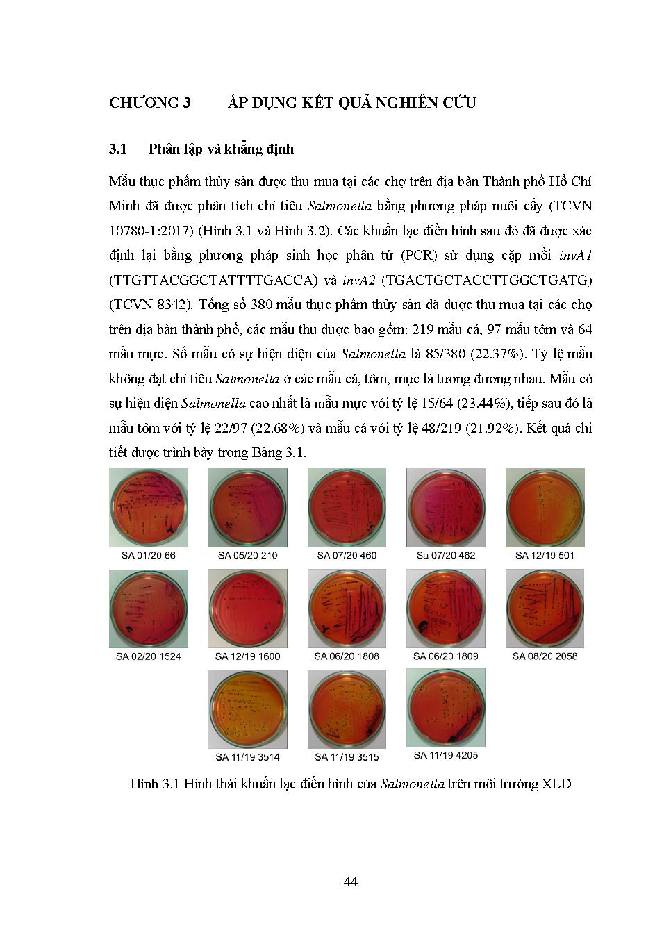 Đánh giá khả năng kháng kháng sinh của Salmonella trong thủy sản tại khu vực Thành phố Hồ Chí Minh: Luận văn thạc sĩ - Chuyên ngành: Công nghệ Sinh học